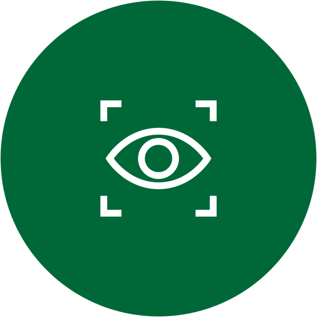 Vision en Apisa
