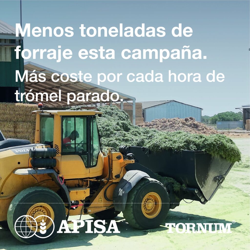 Campaña de forraje deshidratado: pala cargadora moviendo alfalfa