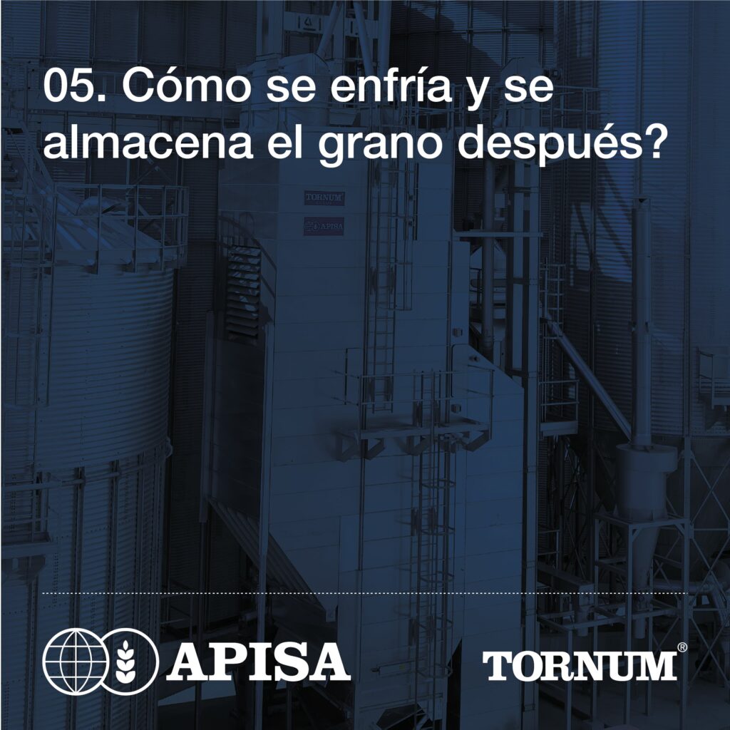 05. ¿Cómo se enfría y se almacena el grano después?