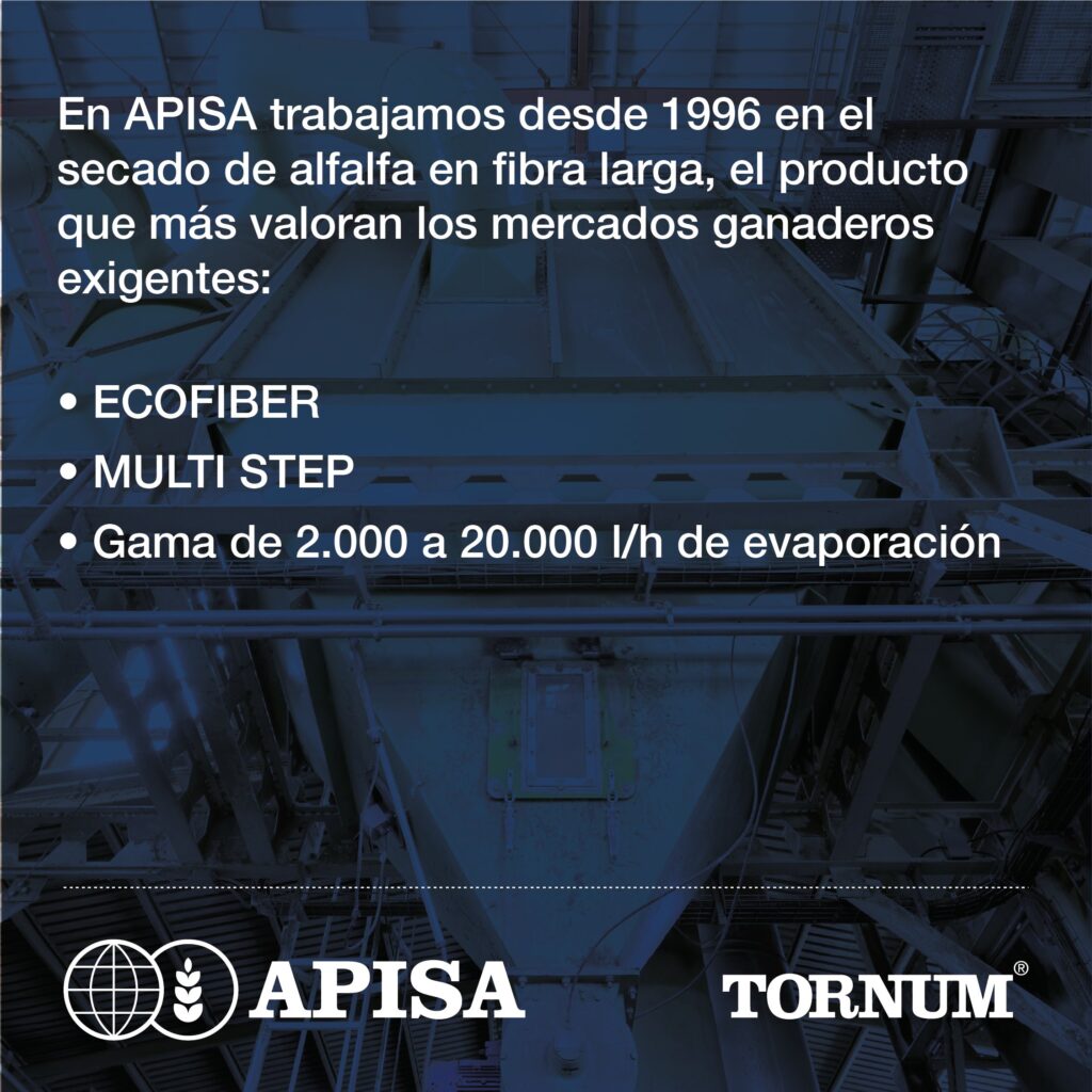 Instalación de secado de alfalfa en fibra larga de APISA