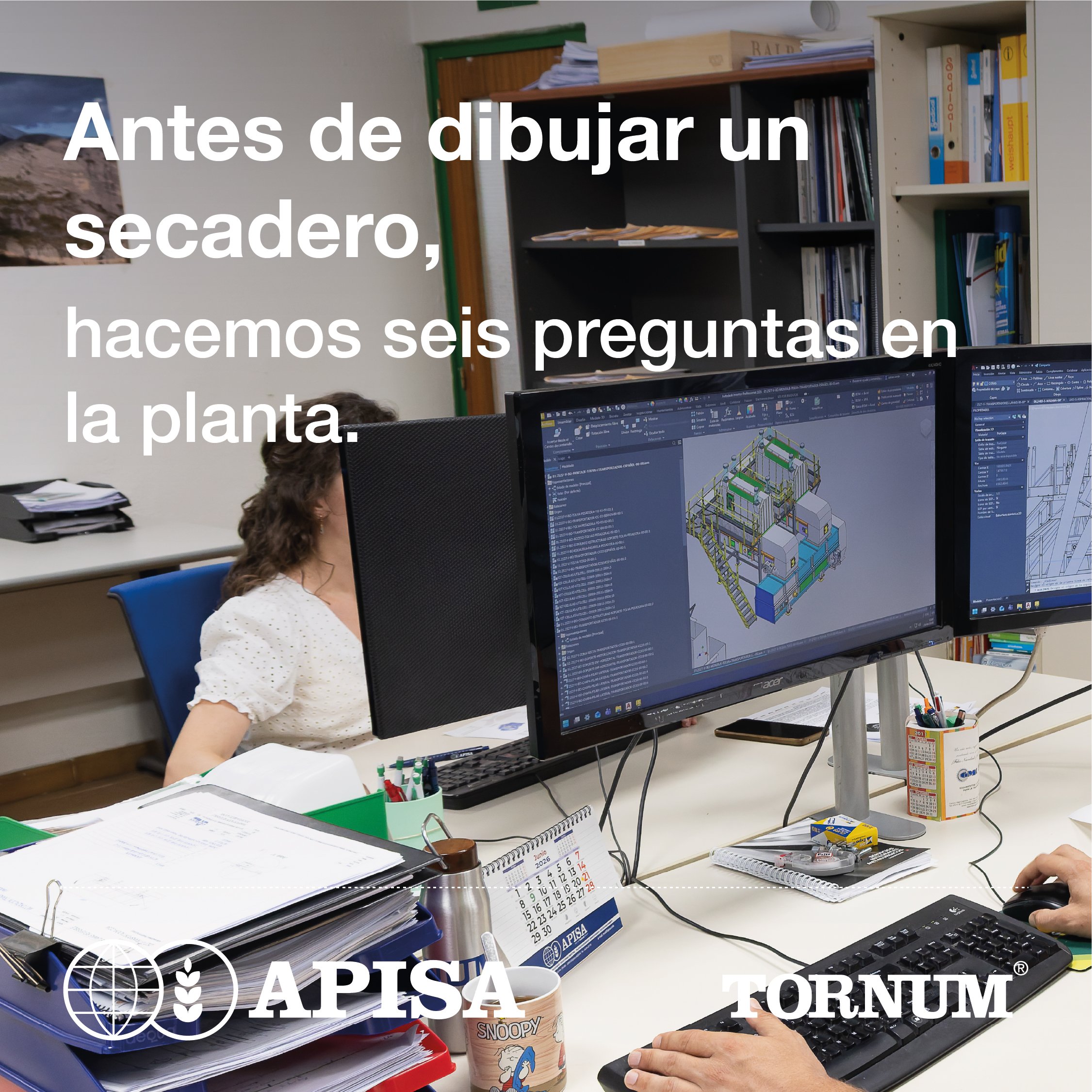 Diseño de un secadero de grano en la oficina técnica de APISA
