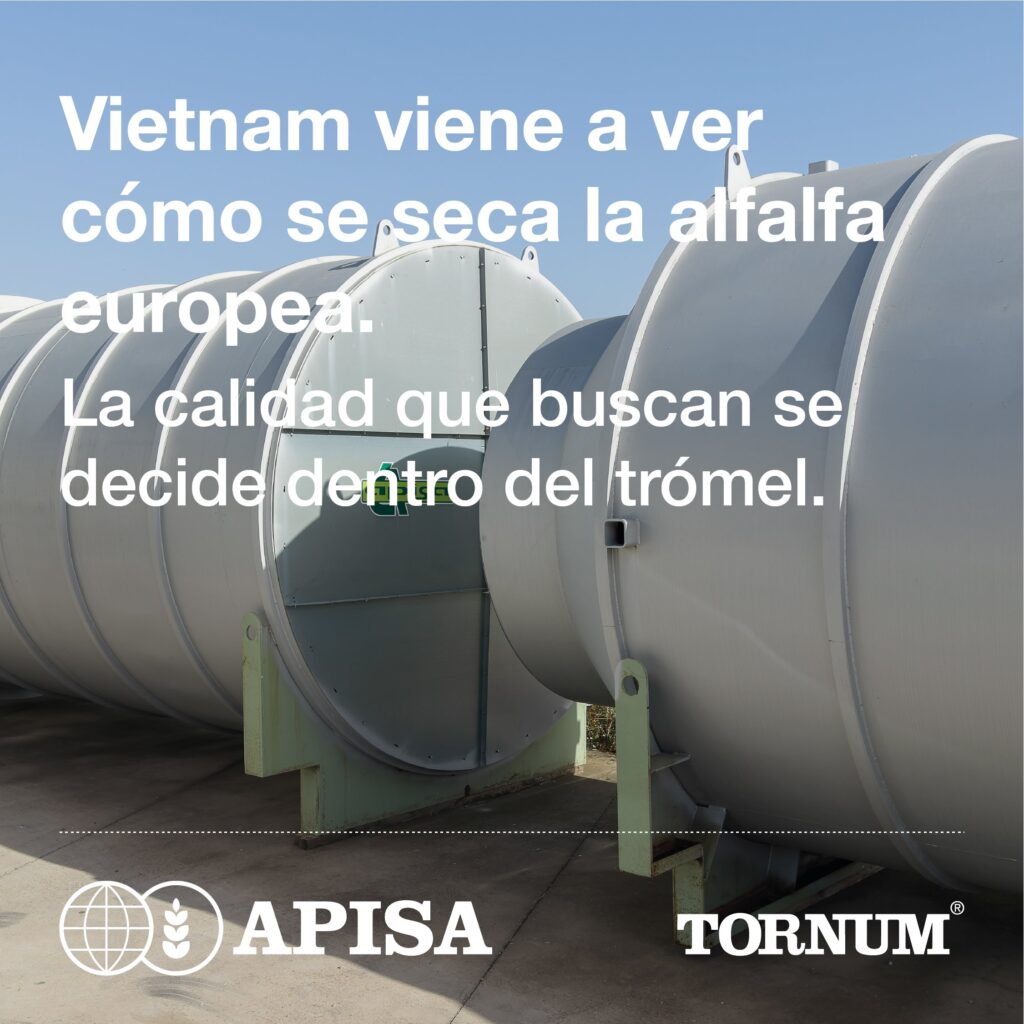 Trómeles para secar alfalfa española en la campa de APISA