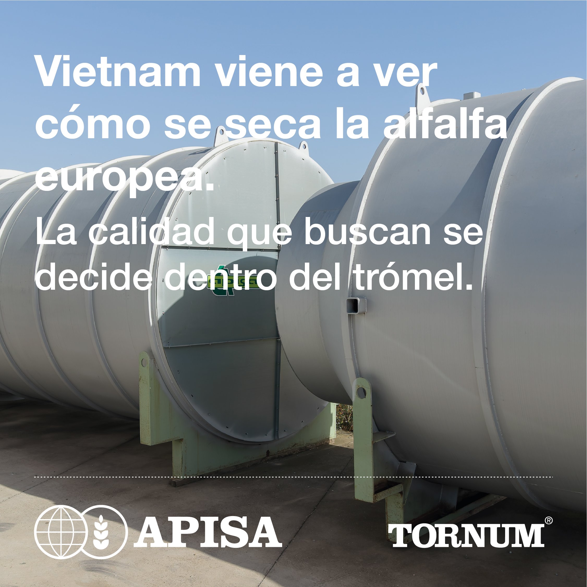 Trómeles para secar alfalfa española en la campa de APISA